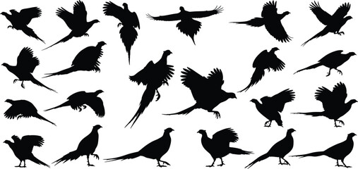 Fototapeta premium Black silhouettes of pheasants in flight, standing, and walking with long tail feathers, perfect for wildlife design, ornithology, and nature-themed projects