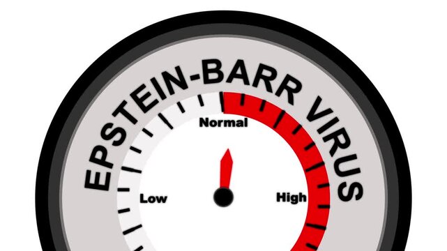 Epstein Barr Virus Level Indicator Gauge Showing Low to High Reading health medical