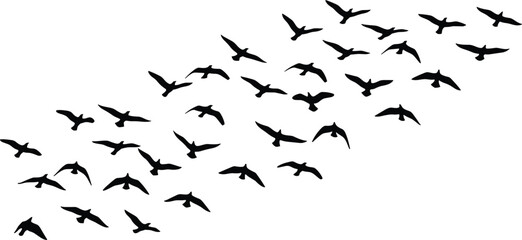 Silhouette flock of birds flying in diagonal formation, migration wildlife vector art design for nature, freedom, travel, sky, and abstract themes © Horgobinda