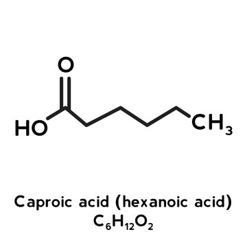 Caproic acid (hexanoic acid) molecule structure vector