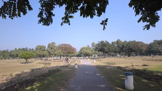 Concrete Walkway Through a Peaceful Park Framed by Tree Leaves Under a Blue Sky