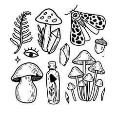 Mystical vector set with mushrooms, crystals, herbs and potions