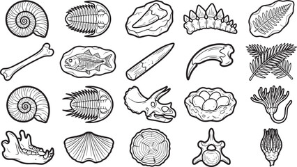 Obraz premium Various fossils, depicted in a monochrome illustration, showcase the wonders of prehistoric life, offering a glimpse into the distant past.