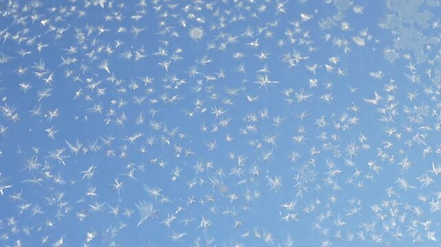 snow frost on the window glass, natural patterns