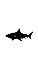 Fototapeta premium Black silhouette of a shark swimming.