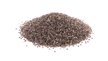 A pile of small, dark brown seeds or grains viewed from above on a plain surface