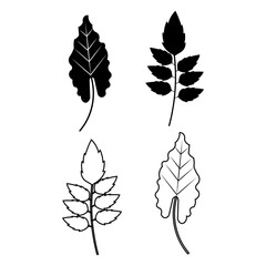 Minimalist botanical leaf icon collection featuring tropical and natural plant shapes in clean line and solid silhouette styles. Perfect for branding, logos, packaging, eco design