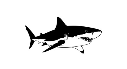 Obraz premium Black and white shark illustration.