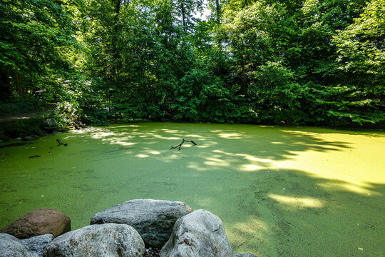 Hiking along the banks of the Bavarian River Wuerm with detailed views of green nature.