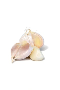 garlic on a white background