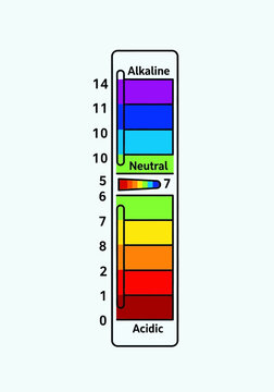 pH scale chart showing acidic neutral and alkaline levels.