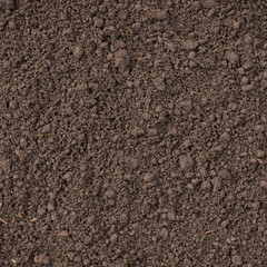 fertile soil as a background, plowed land in the garden