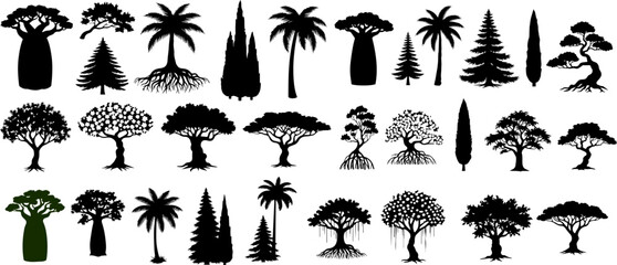 Set of various tree silhouettes, including tropical, coniferous, and deciduous species with roots and leaves © Shana