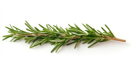 Rosemary Sprig: A vibrant sprig of rosemary, its needle-like leaves radiating freshness and aromatic allure, rests delicately, promising culinary delight.