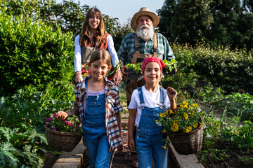 Farmers family working together in organic farm picking vegetables