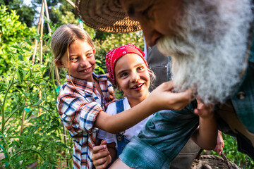 Happy family working together in sustainable tomato farming