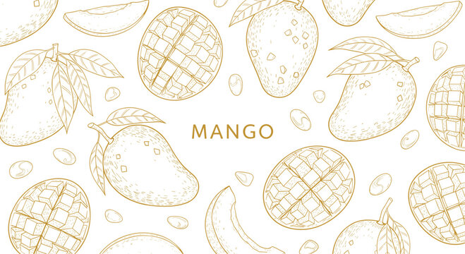 Mango line art seamless pattern. Elegant golden tropical fruit illustration with slices and leaves. Luxury botanical background for packaging and branding design.