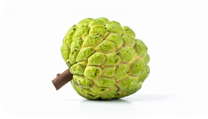 Fototapeta premium Fresh Green Custard Apple Isolated on White Background