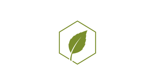 Green leaf in hexagon shape logo.