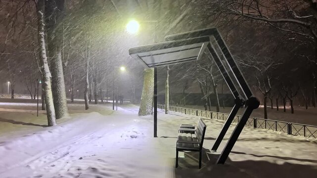 Evening snowstorm in the urban park