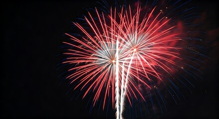 Fireworks display against dark night sky
