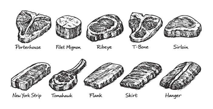 Hand-drawn illustration showcasing different cuts of beef including porterhouse, ribeye, filet mignon, and more in a vintage sketch style, ideal for butcher shops.