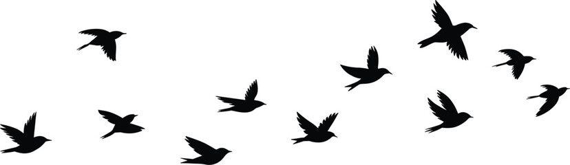 Fototapeta premium Flying bird silhouette collection isolated on white background, flock in motion wildlife nature vector illustration set