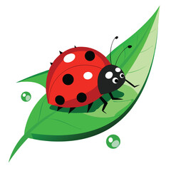 Fototapeta premium Cheerful Red Ladybug with Black Spots Resting Gently on a Fresh Green Leaf Surface