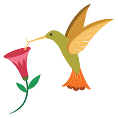 Stylized illustration of a vibrant hummingbird collecting nectar from a pink bellflower
