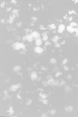 Abstract monochrome background with soft bokeh effect, featuring blurred white spots on a gray surface creating a dreamy visual texture for design purposes