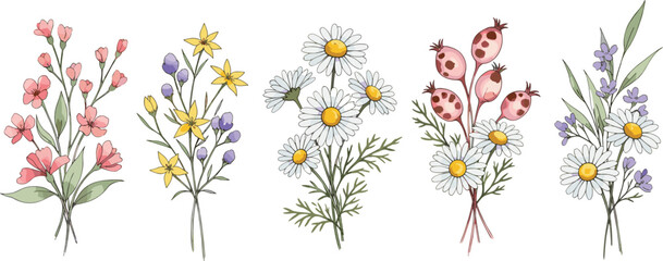 Set of spring wildflower bouquet illustrations including daisies pink blossoms and lavender isolated on white background for garden nature floral and wedding design projects