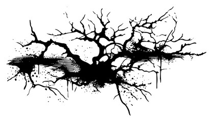 Stylized black ink splash of gnarled tree roots and branches on white background © Amelia