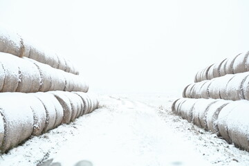 Hay storage in a field near the farm. Haystacks prepared for feeding animals in winter. Stacks of dry hay in an open field for storage. © Micha