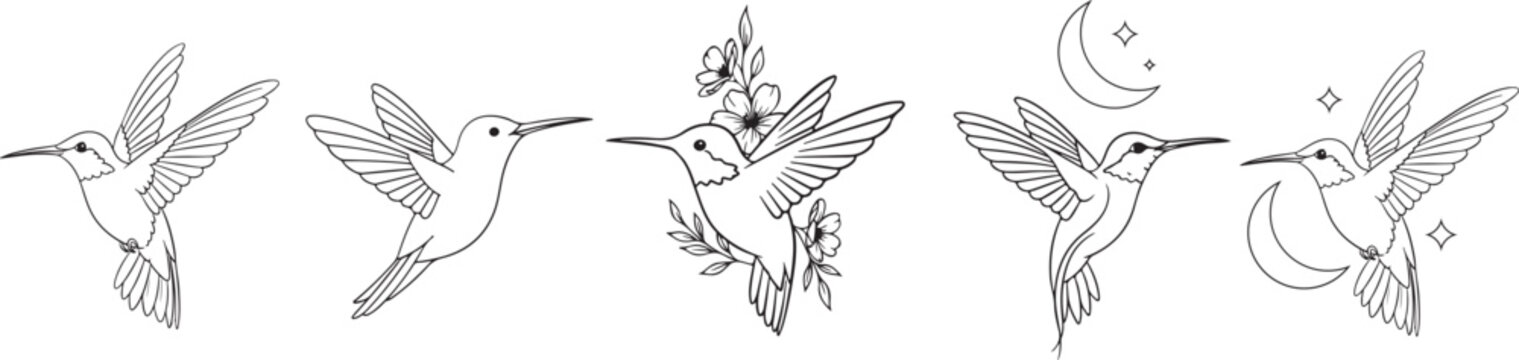 hummingbird tattoo images with floral silhouette vector