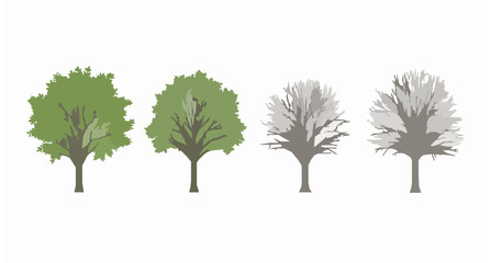 Fototapeta premium Four tree silhouettes vector illustration showing leafy and leafless growth stages isolated on white background