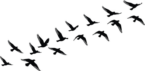Flying bird silhouette flock formation, black vector illustration of geese in migration isolated on white background for wildlife and nature design © Ideasy Mind