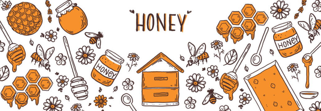  Hand drawn honey sketch. Doodles set. Hand drawn vector illustration for packaging design. Honeycomb, bee, flowers, jar of honey frame. Honey quirky icons, simple sketch style. Minimalist line art.
