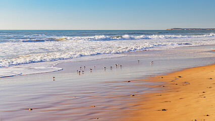 Spanish atlantic ocean waves and beaches © Olivier