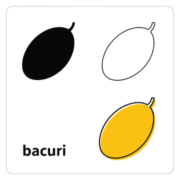 Bacuri fruit icons in three styles on transparent background vector illustration