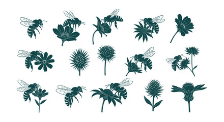 Detailed Honey Bee and Wildflower Vector Silhouettes Collection Pollination Nature Design Elements © vectorial