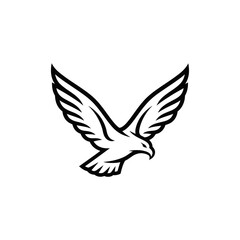 Obraz premium Black and White Eagle Illustration Flying.