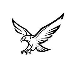 Obraz premium Black and White Eagle Illustration Flying.