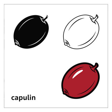 Capulin fruit icon set with black silhouette and colored version on checkered