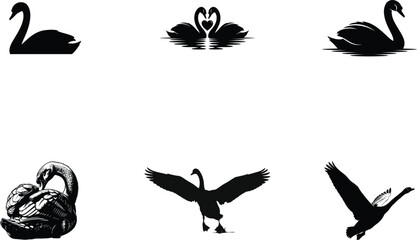 Collection of swan and goose silhouettes © PIXJS