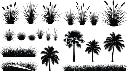 Grass and palm tree silhouettes set, tropical plants and reeds collection isolated on white background © Shahin