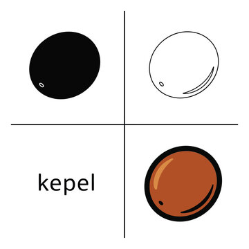 Three illustrations of oval fruit with labels: black, outline, and brown color