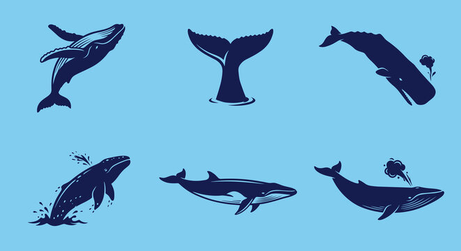 Majestic whale silhouettes set in different positions including breaching diving and tail fluke flat vector illustration for ocean wildlife conservation