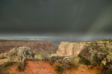 Storm Clouds and Rain Over Red Rock Desert Canyons