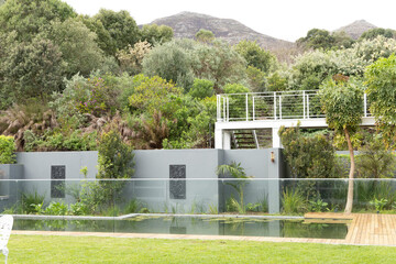 Narrow rectangular pool sitting in landscaped backyard, featuring frameless glass fence and decking