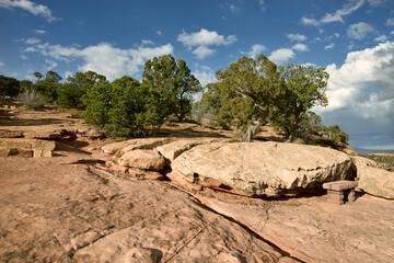 Flat-Topped Sandstone Table Rock in High Desert Landscape